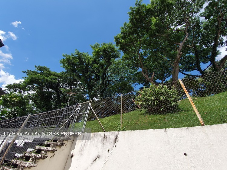 Carmichael Road (D13), Detached #247998561